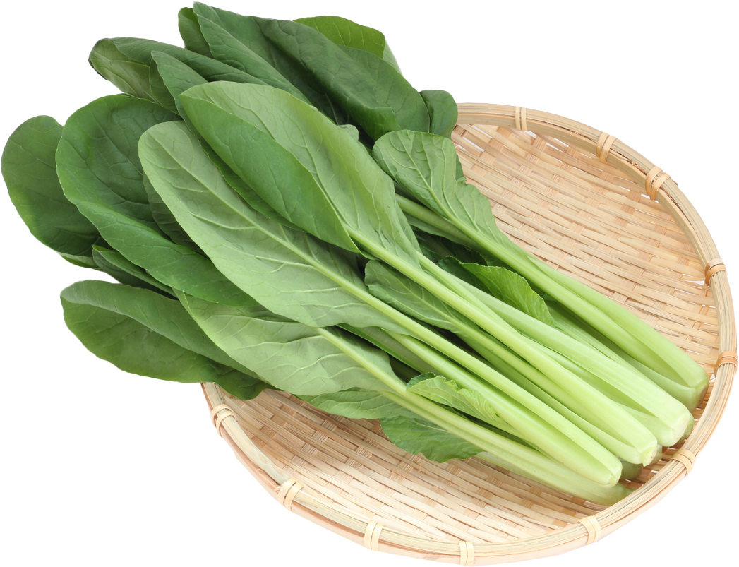 べじべじ倶楽部 商品紹介